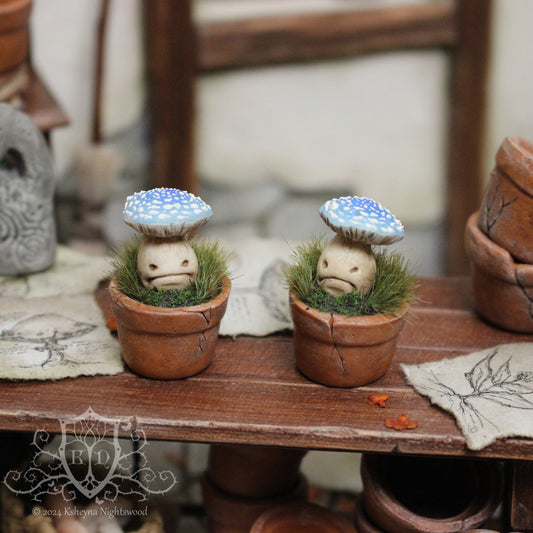 Potted Unhappy Toadstool - Blue