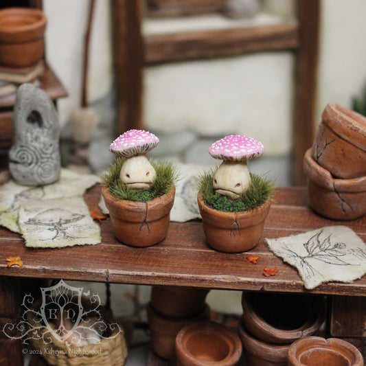 Potted Unhappy Toadstool - Pink