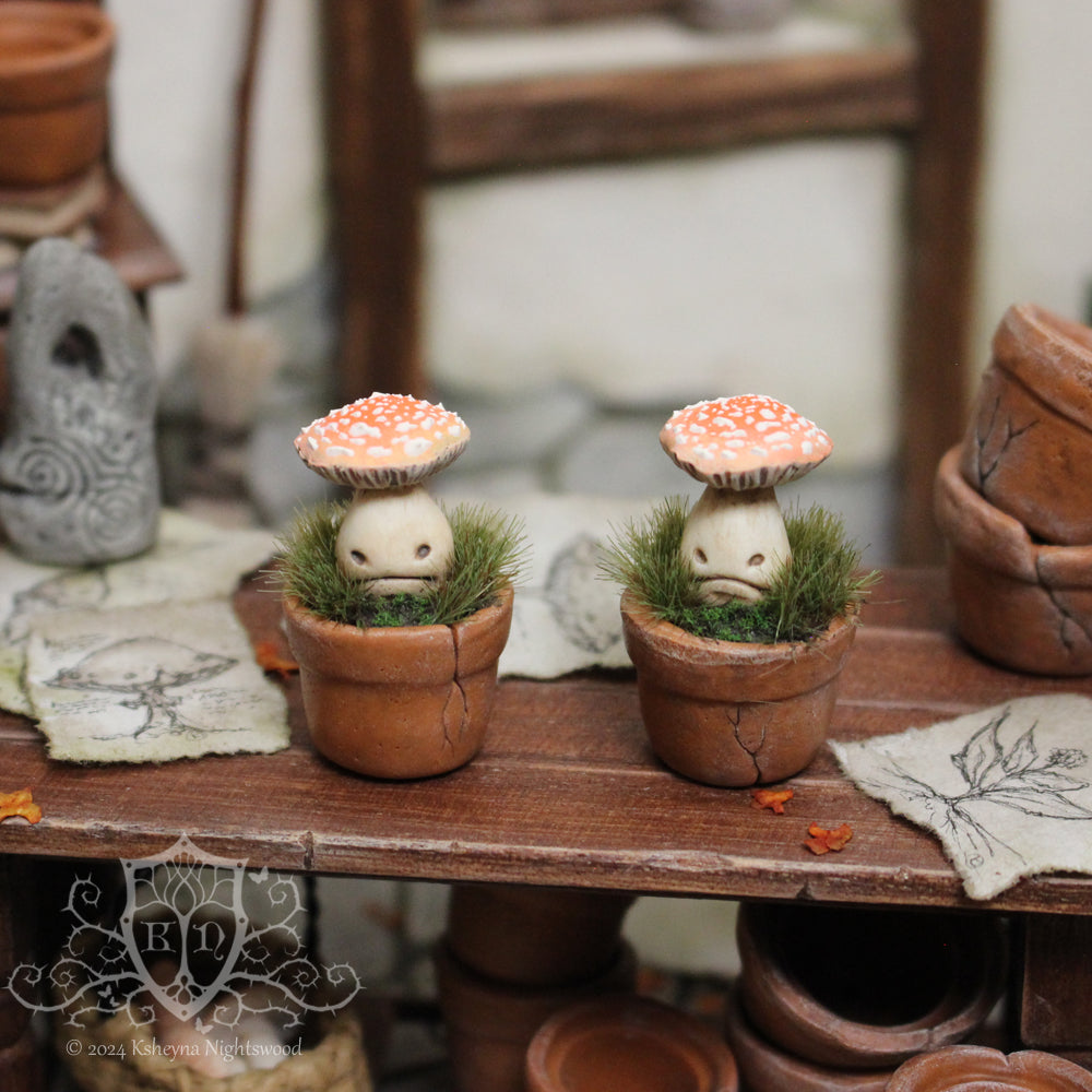 Potted Unhappy Toadstool - Orange