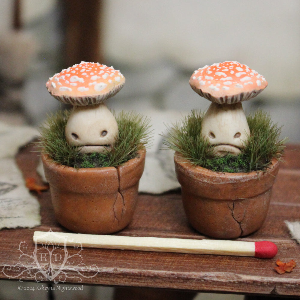 Potted Unhappy Toadstool - Orange