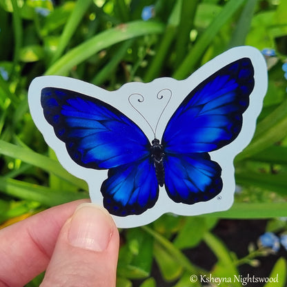 Blue Butterfly - Vinyl Sticker