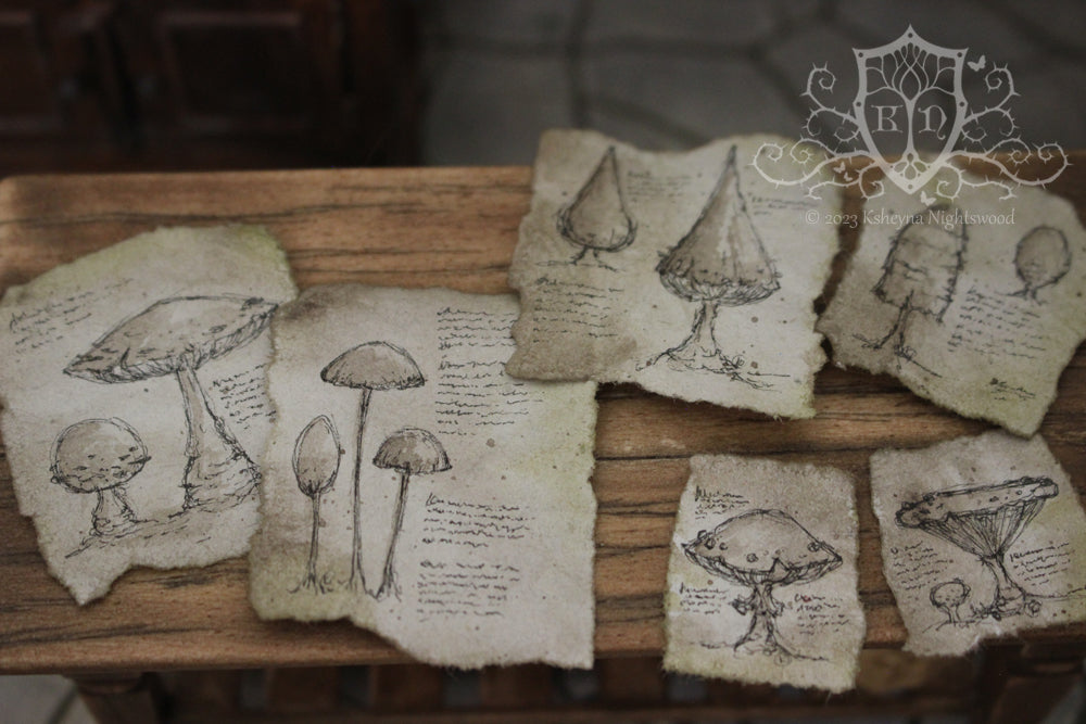 Parchments - Mushrooms