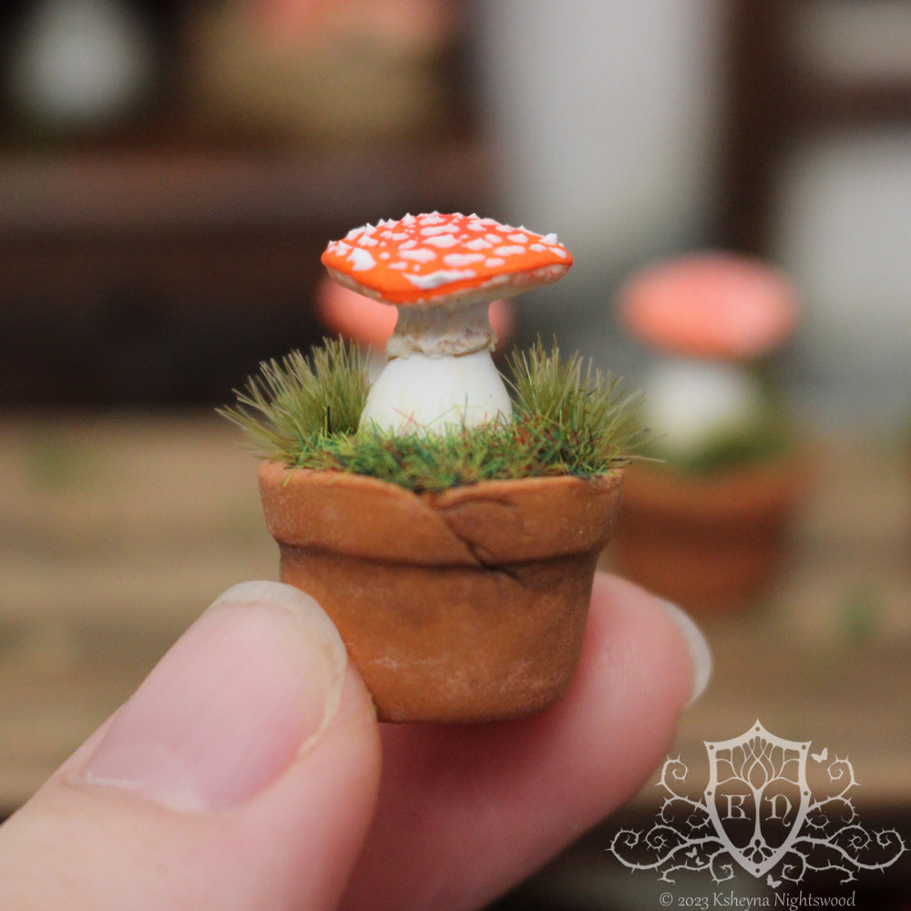 Potted Toadstool - Fly Agaric